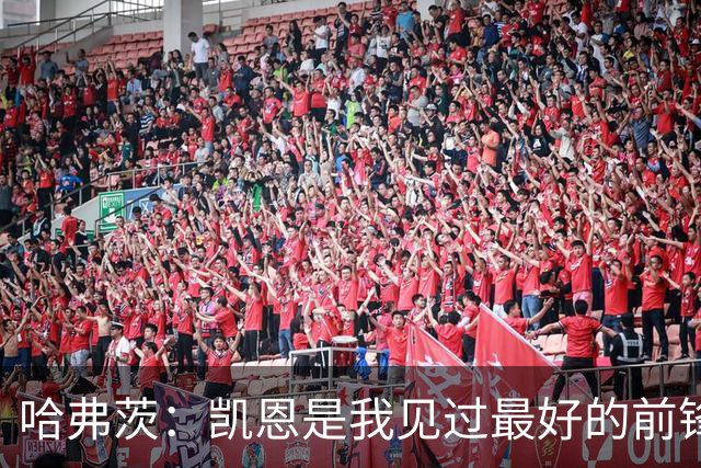哈弗茨：凯恩是我见过最好的前锋之一；谁进球并不重要