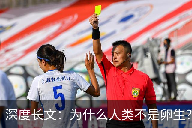深度长文:为什么人类不是卵生?说出来你可能不信,这事3亿年前就定好了